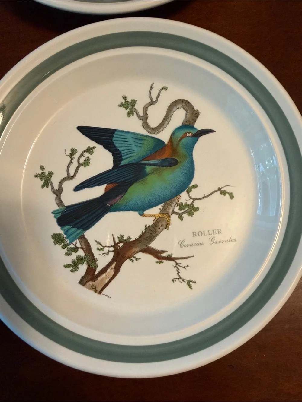 Portmeirion Birds of Britain Salad Plates in Green and White - Set of 6